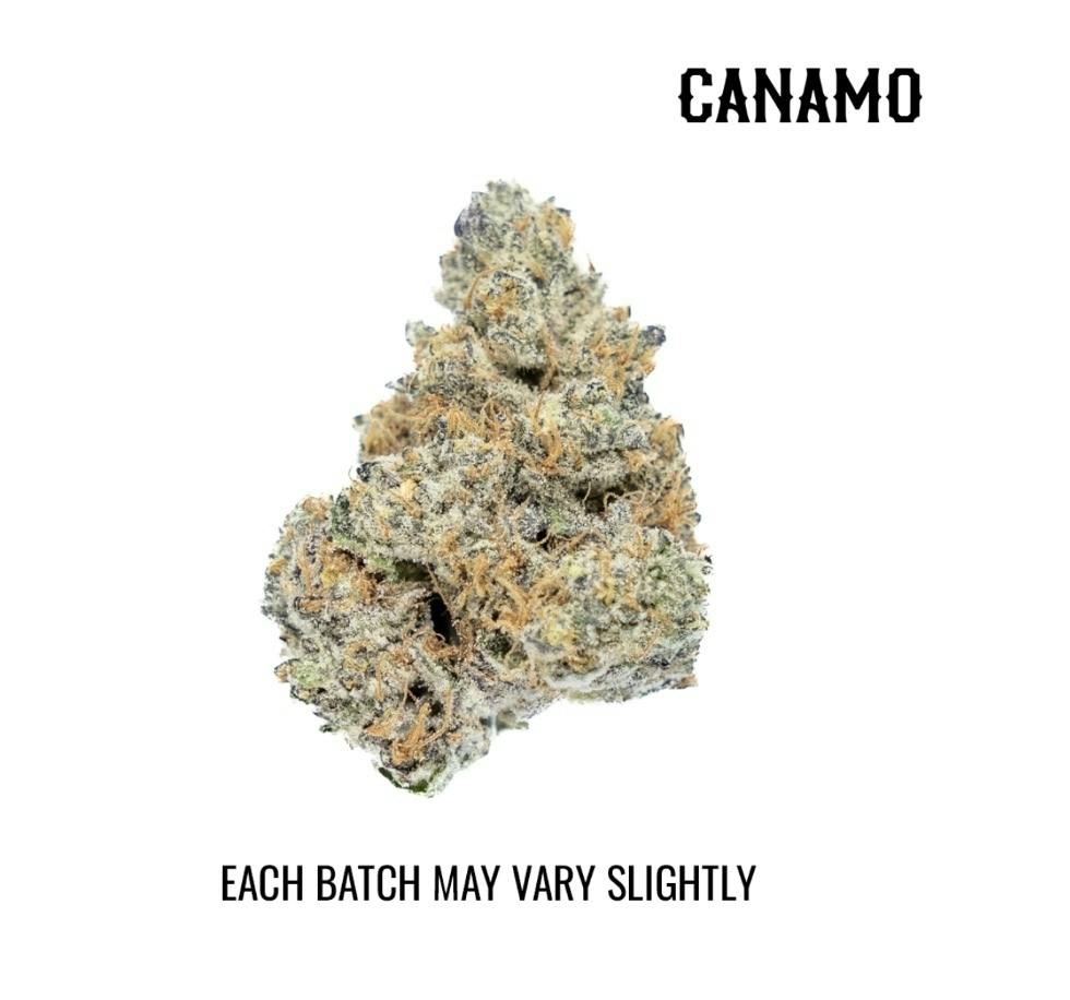 Canamo AK | Island Dream | Smalls | 7g by Canamo AK