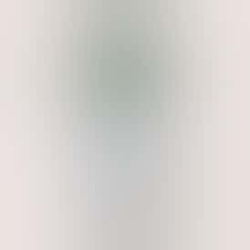 Hash Burger Live Resin 510 Cart Vape | 2pk | 0.5g