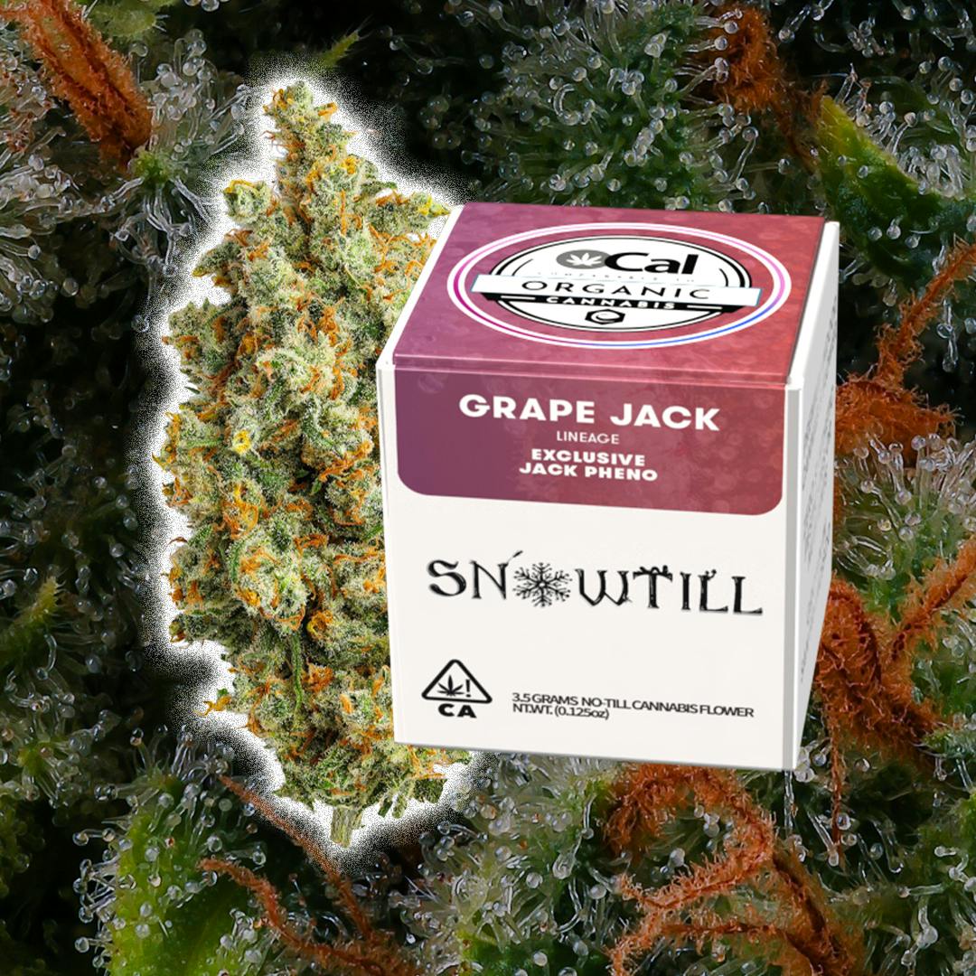 Snowtill — Jack Herer