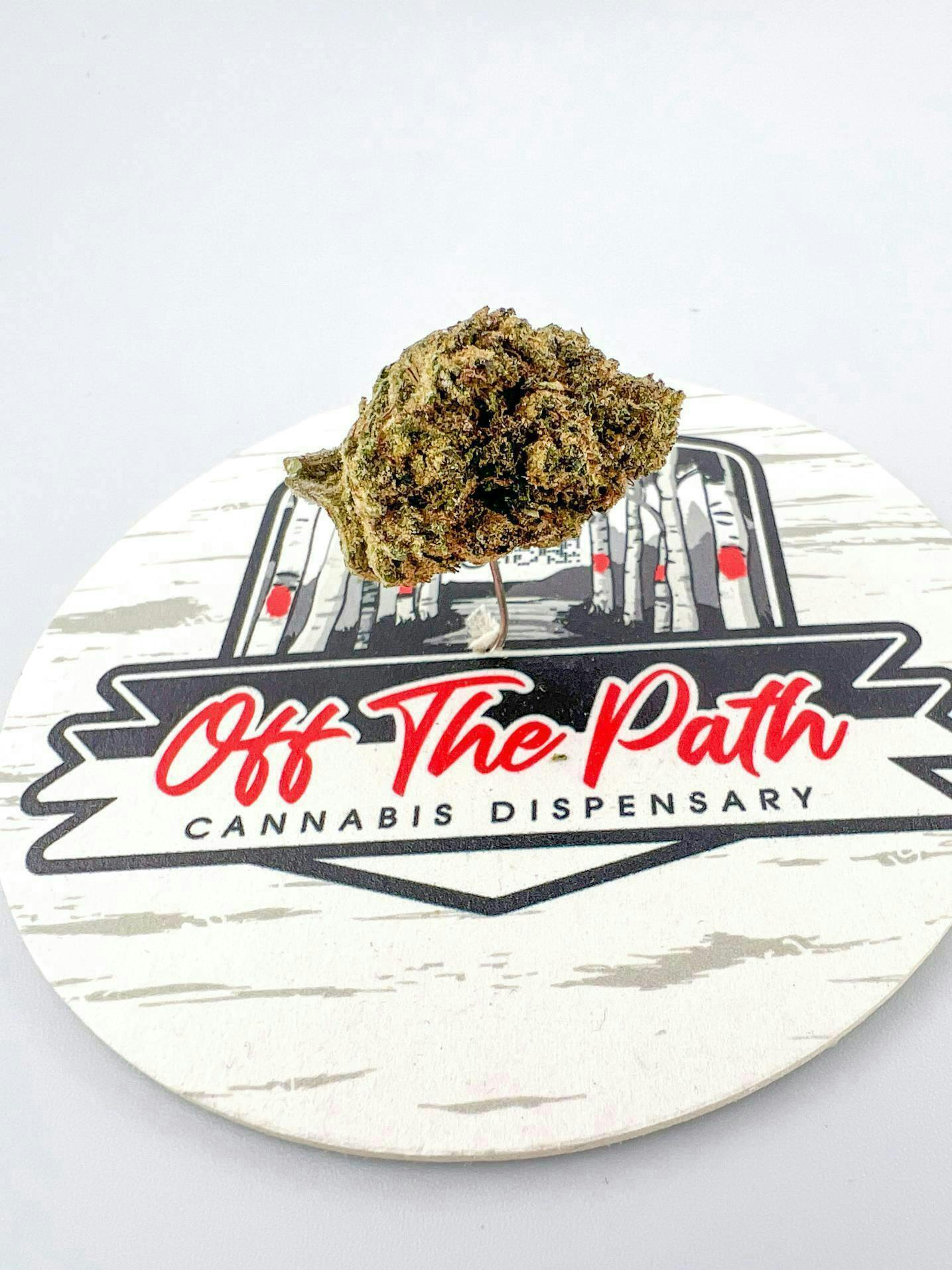 Off The Path Cannabis | White Runtz | Big Buds | 28g by Off The Path Cannabis