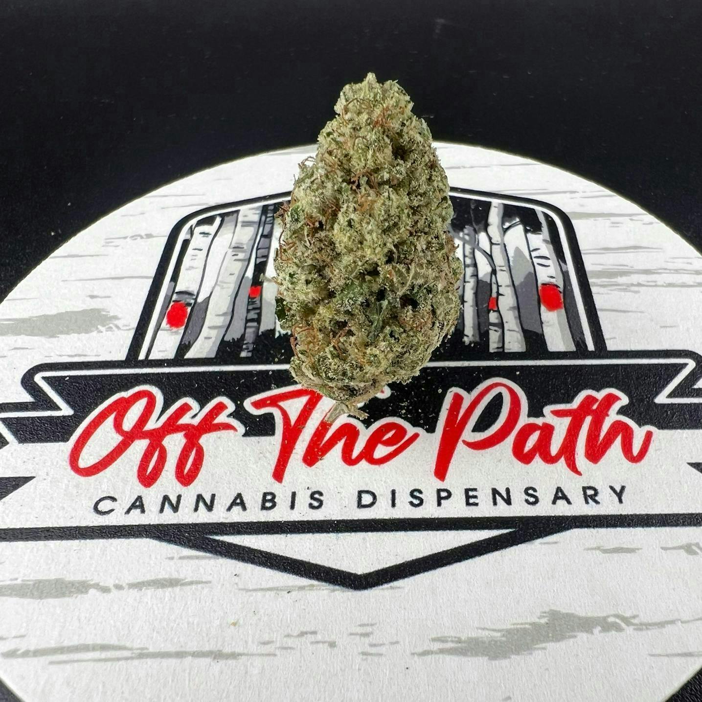 Off The Path Cannabis | Gorilla Glue #4 | Big Buds | 7g at Off the Path Cannabis Dispensary