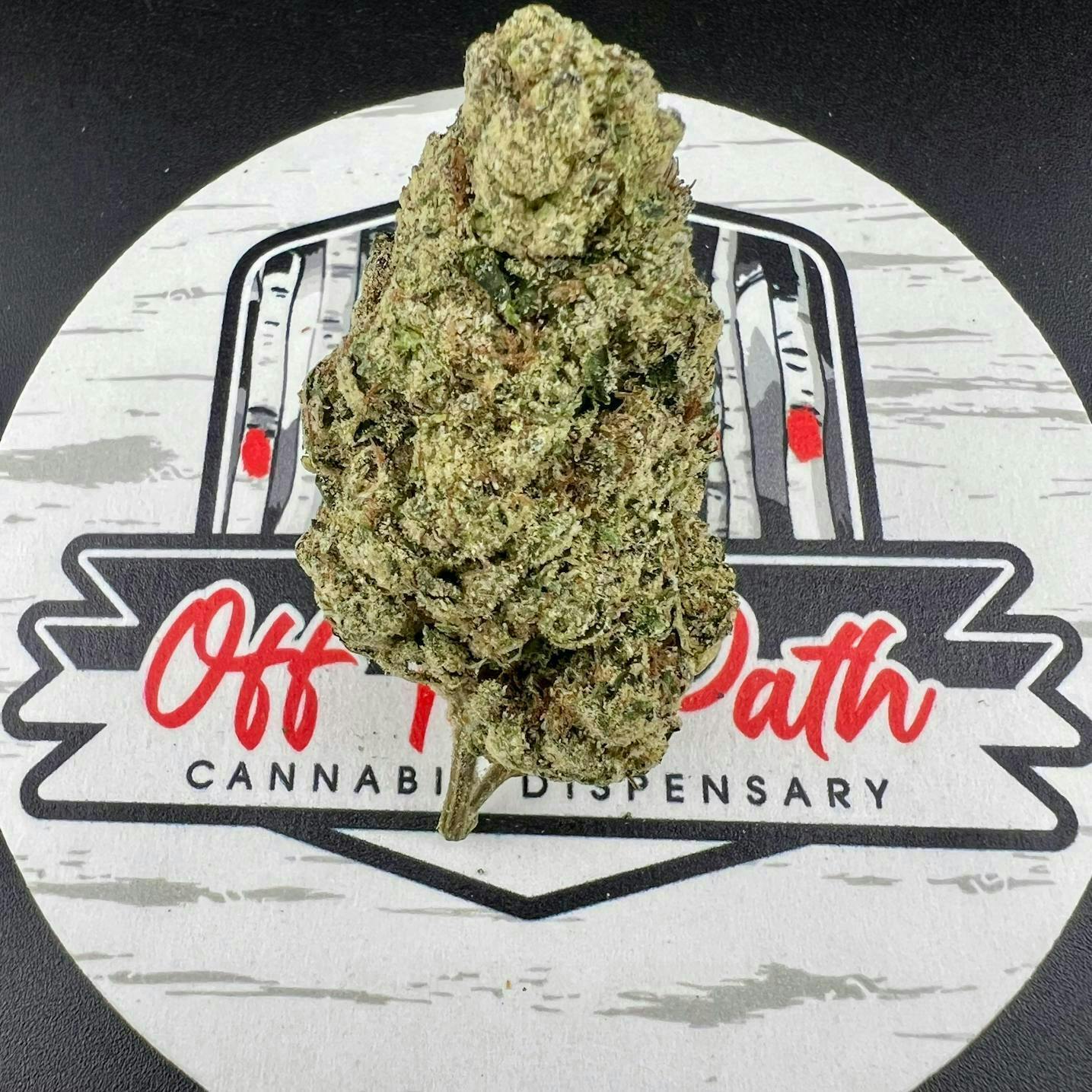 Off The Path Cannabis | Godfather OG | Big Buds | 7g at Off the Path Cannabis Dispensary