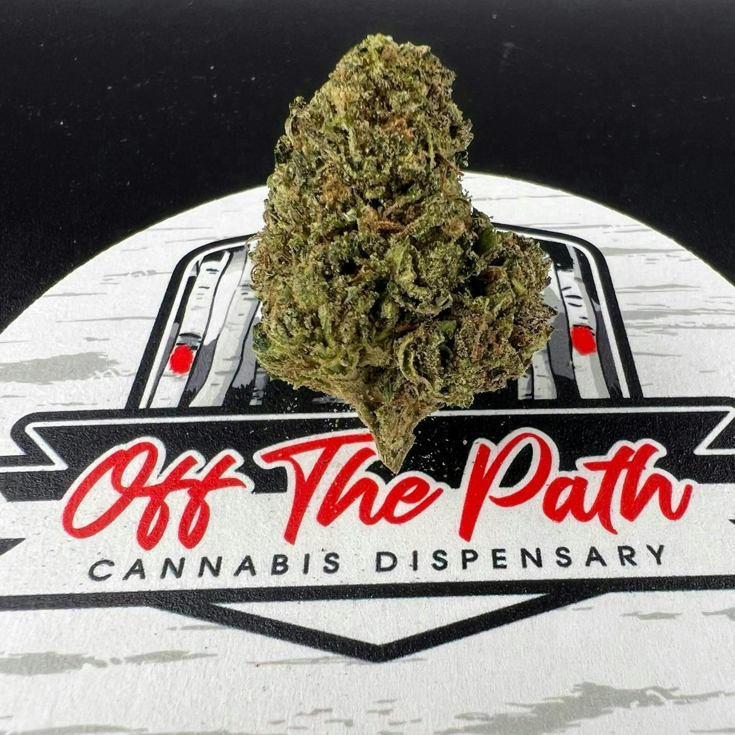 Off The Path Cannabis | Acapulco Gold | Big Buds | 7g at Off the Path Cannabis Dispensary
