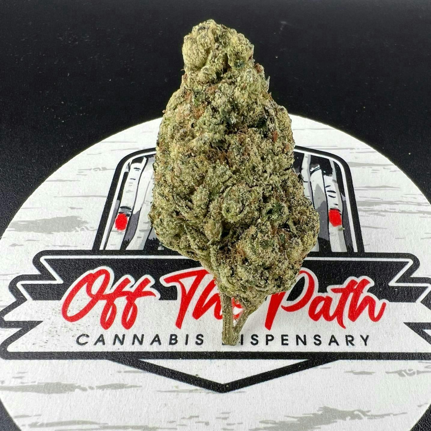 Off The Path Cannabis | Amnesia Haze | Big Buds | 7g at Off the Path Cannabis Dispensary