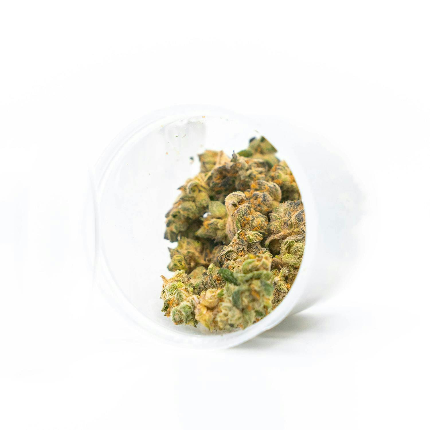 Canamo AK | Island Dream | Flower | 3.5g