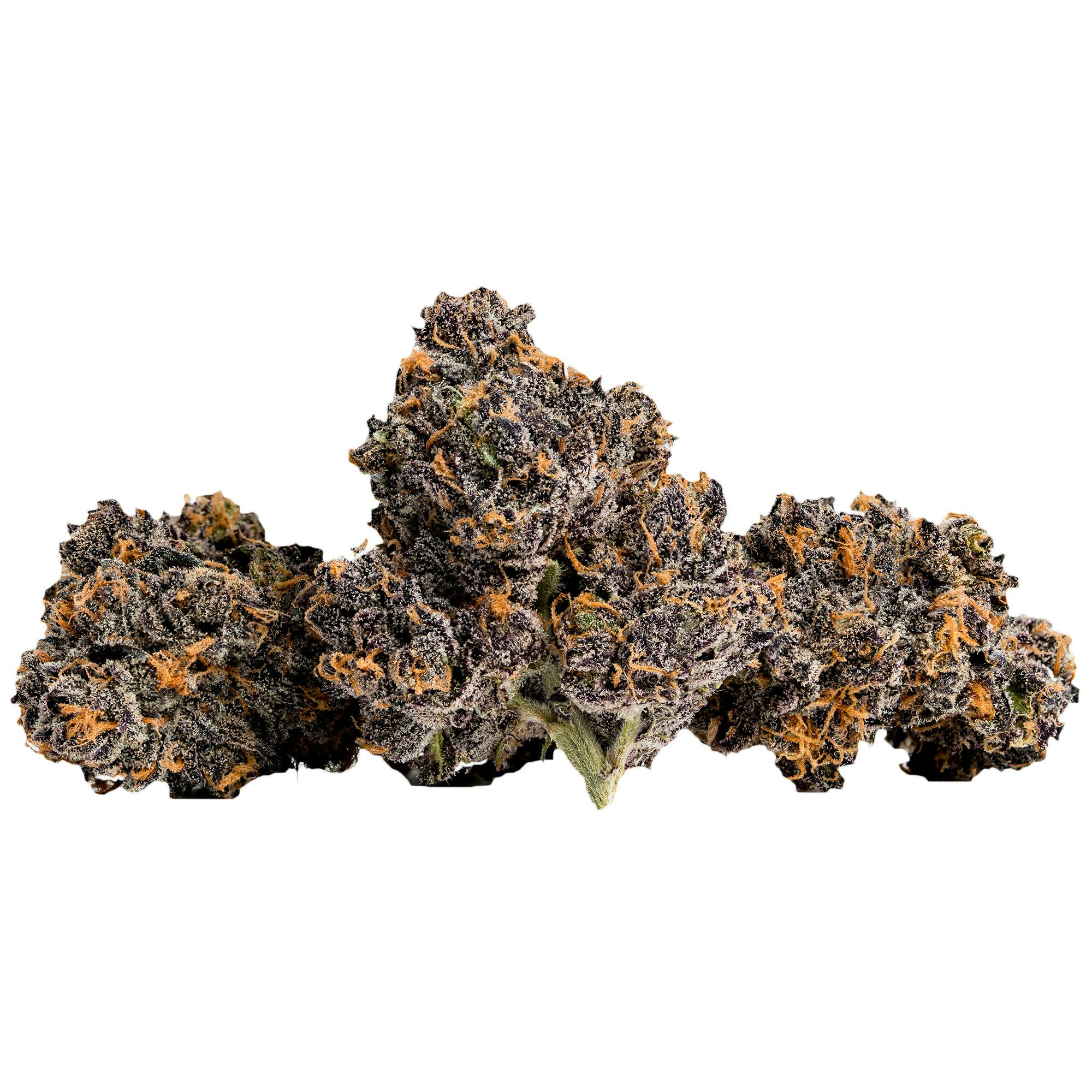 Presidential Garden — Granddaddy Purple