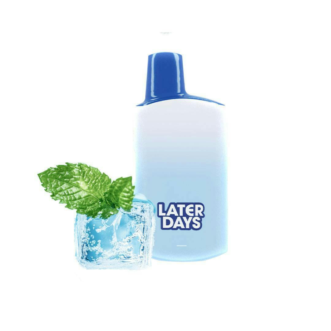 Later Days | Winter Mint | Disposable | 0.85G by Later Days