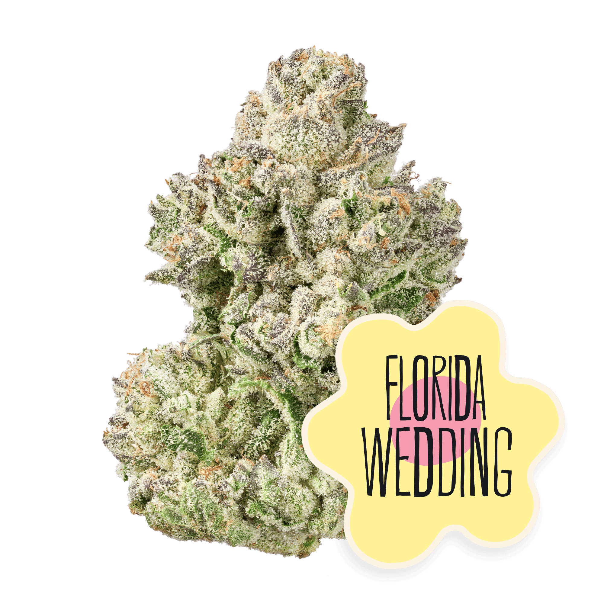 Florida Wedding Flower