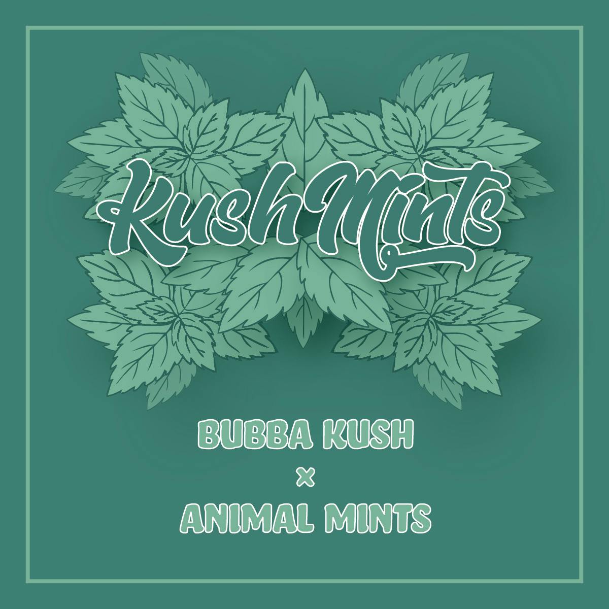 Kush Mints - 1g - Live Hash Rosin Batter