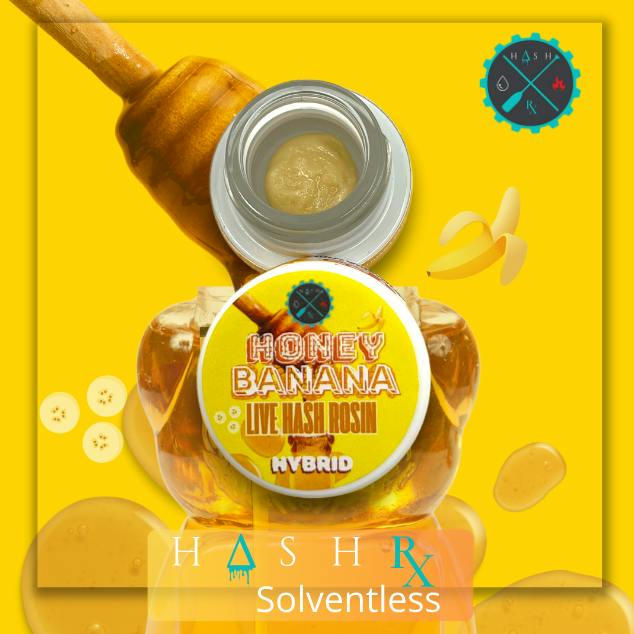 Hash RX - Honey Banana Live Hash Rosin 4g - Hash RX