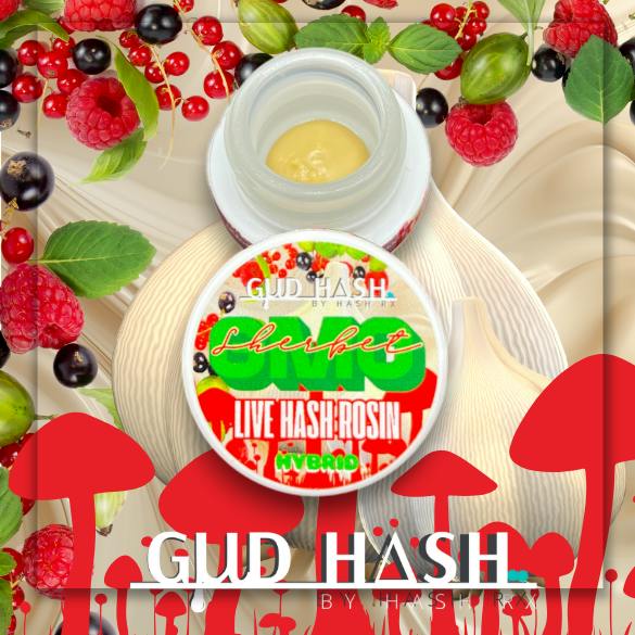 Hash RX - GMO Sherbet Live Hash Rosin 4g - Hash RX