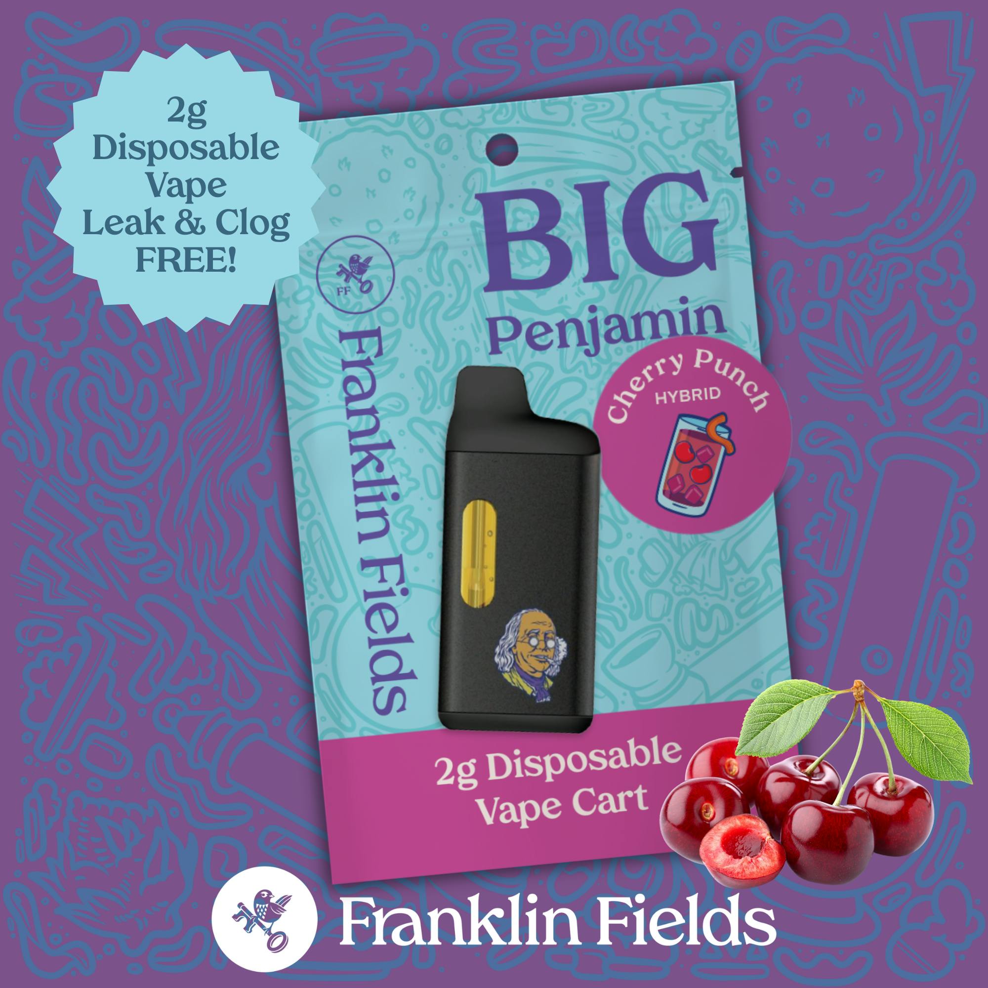 Disposable Vape Cherry Punch