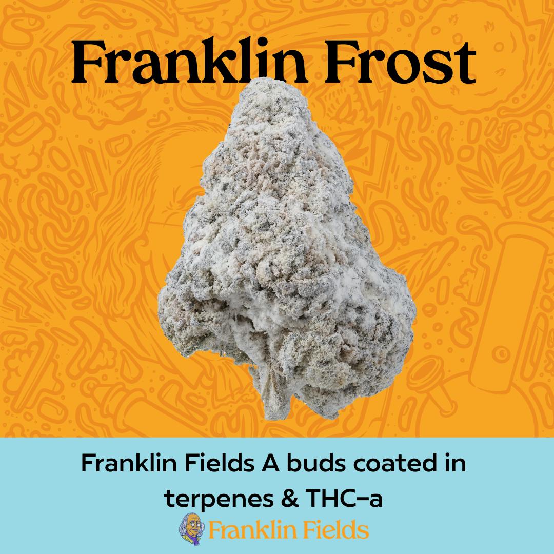 Franklin Frost Snowballs Jilly Bean by Franklin Fields