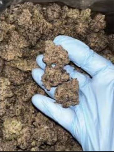 Nexleaf | Goofiez | Flower | 7G