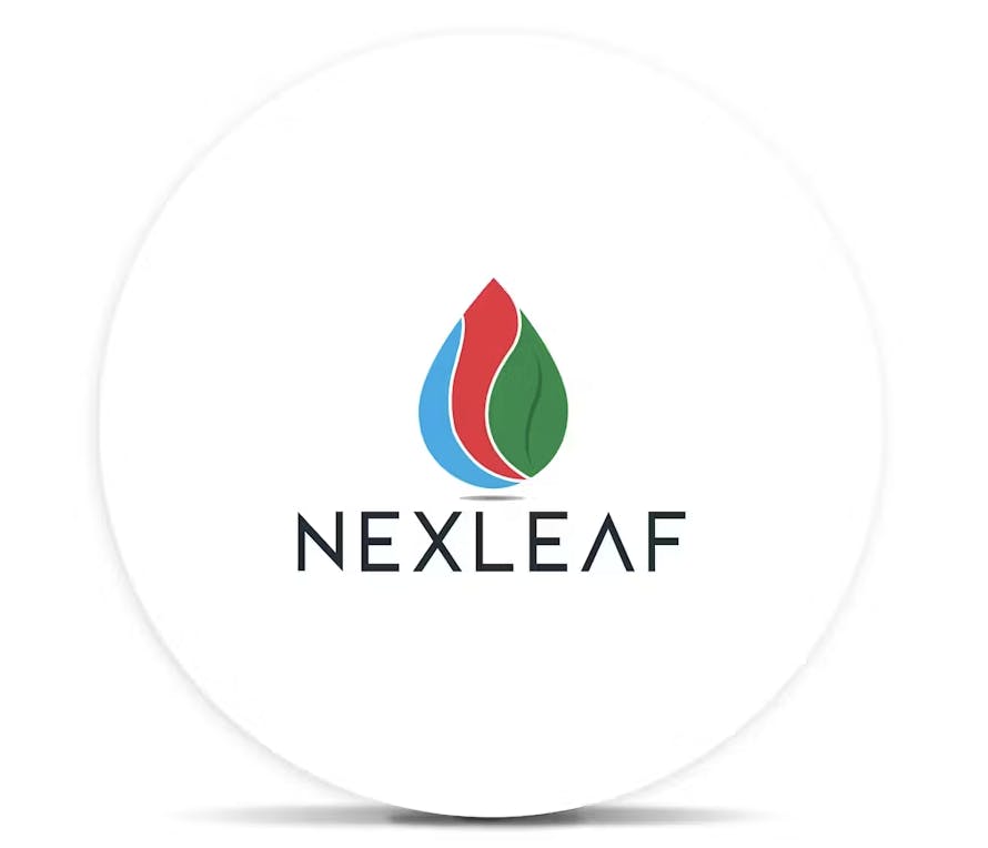Nexleaf | Royal Slippers | Flower | 7G