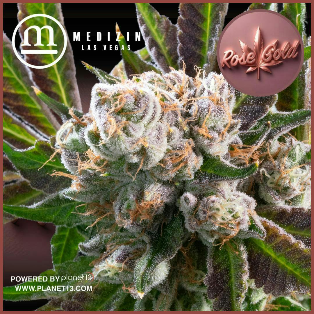 Rose Gold | 7g