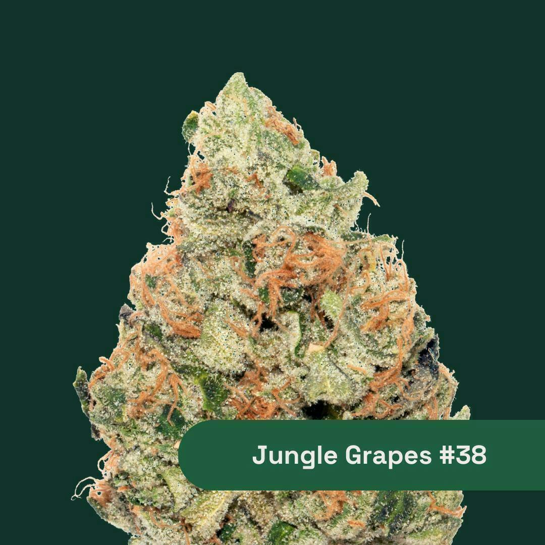 Jungle Grapes