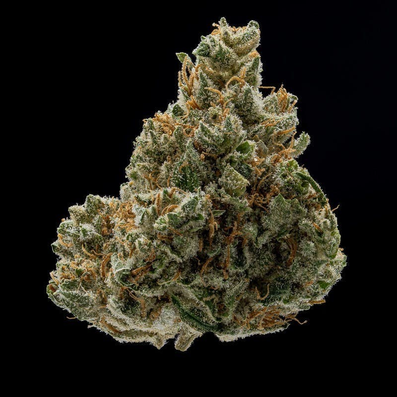 JAR Silver Kush 3.5g at JAR Cannabis Co. Dispensary - Carrabassett (Sugarloaf)