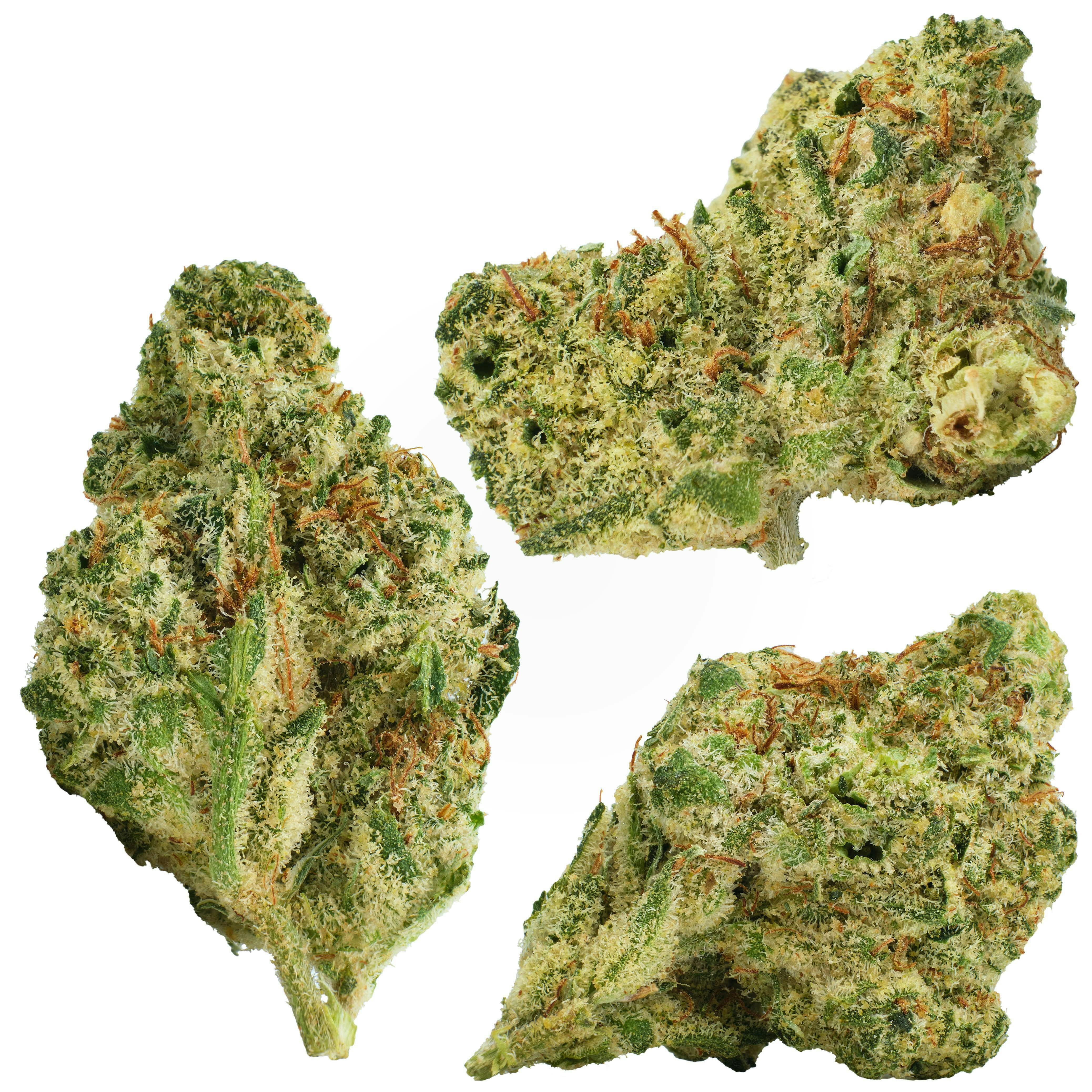 Common Citizen East Side OG Smalls Prepackaged 28g