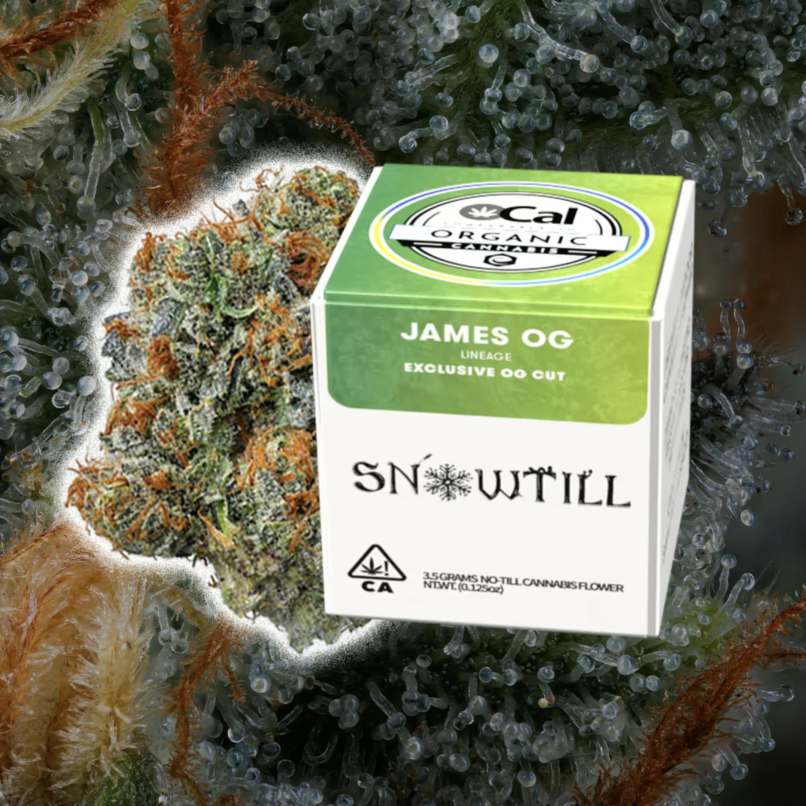 Snowtill: James OG