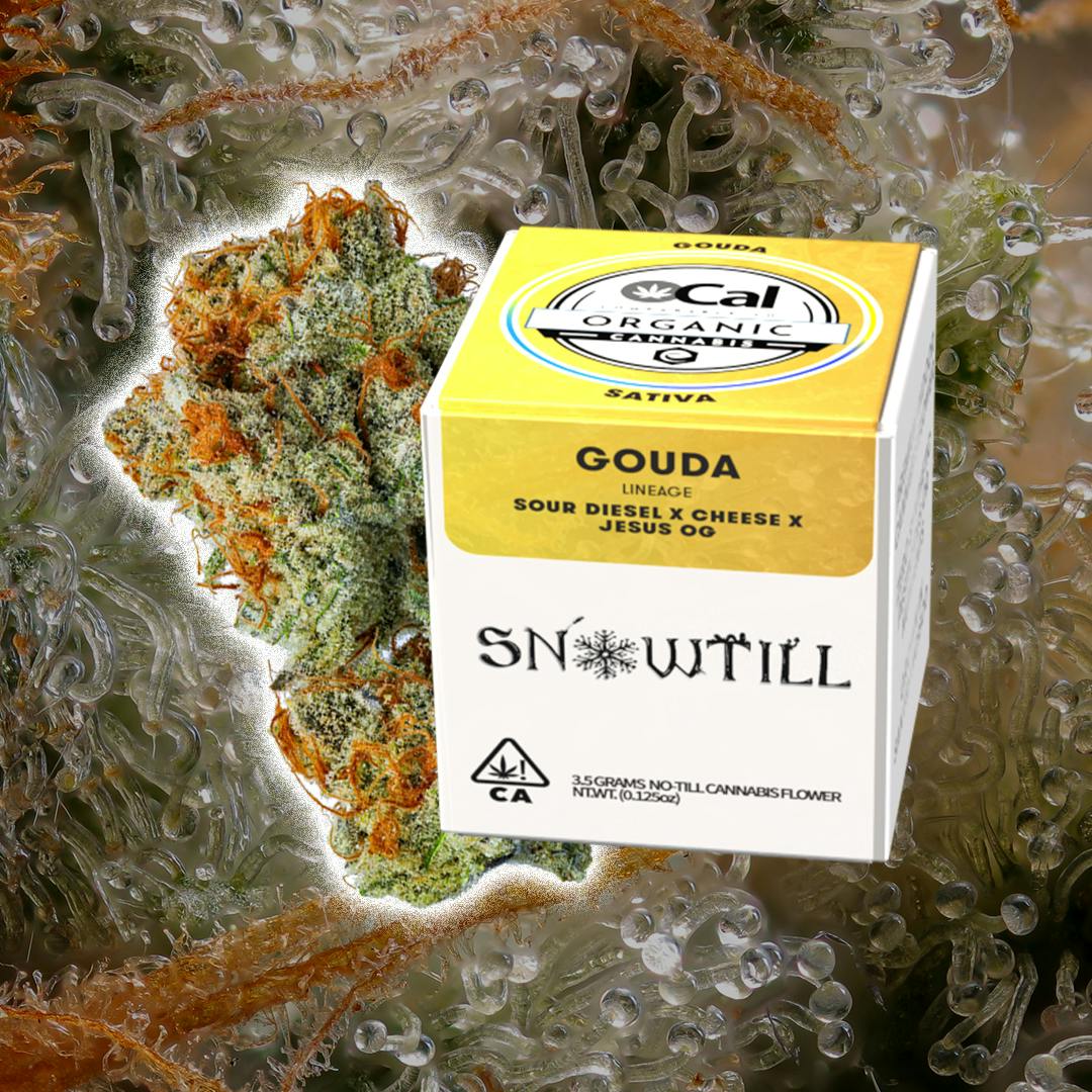 Snowtill — Gouda
