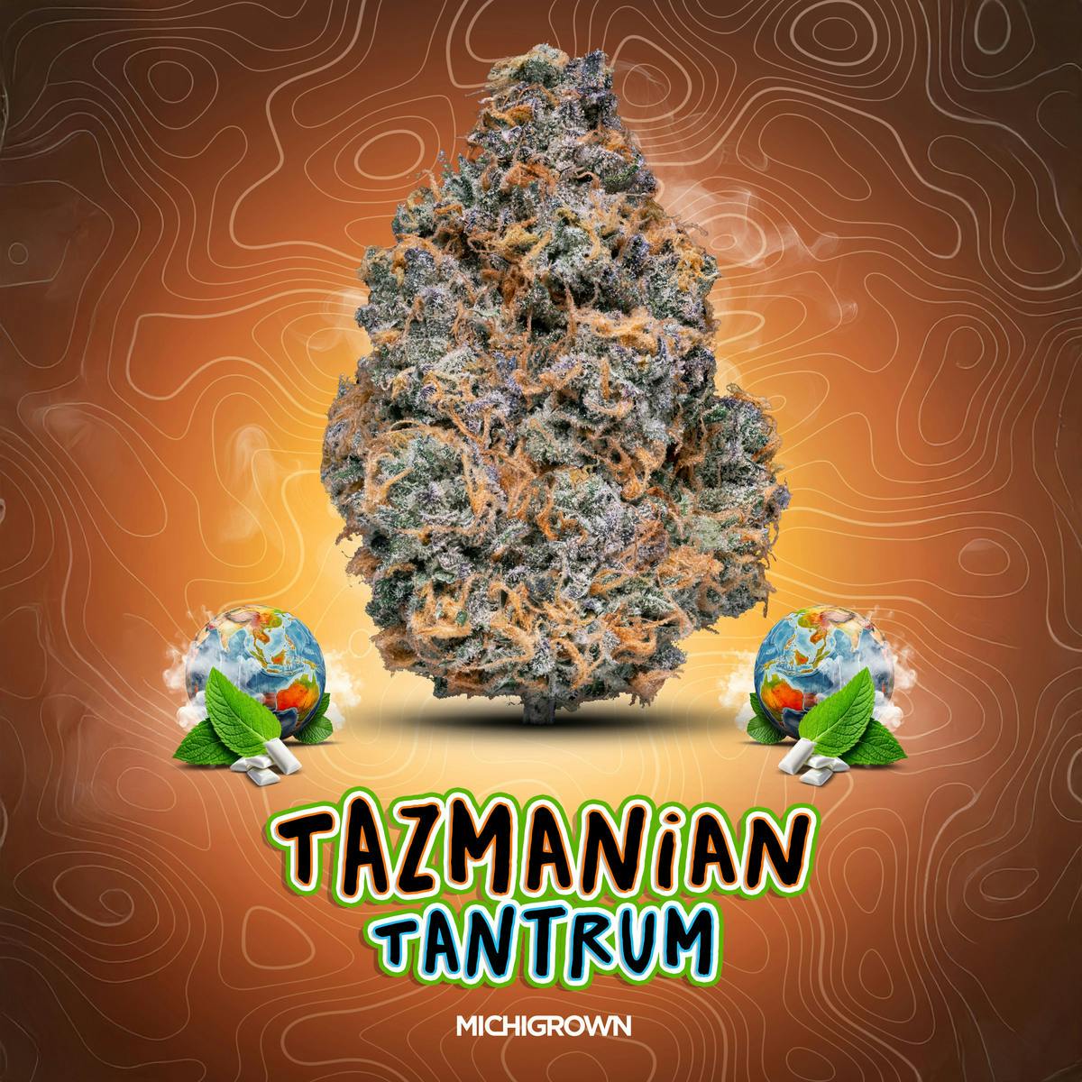 TAZMANIAN TANTRUM - 3.5 GRAMS - PREMIUM FLOWER - JARS