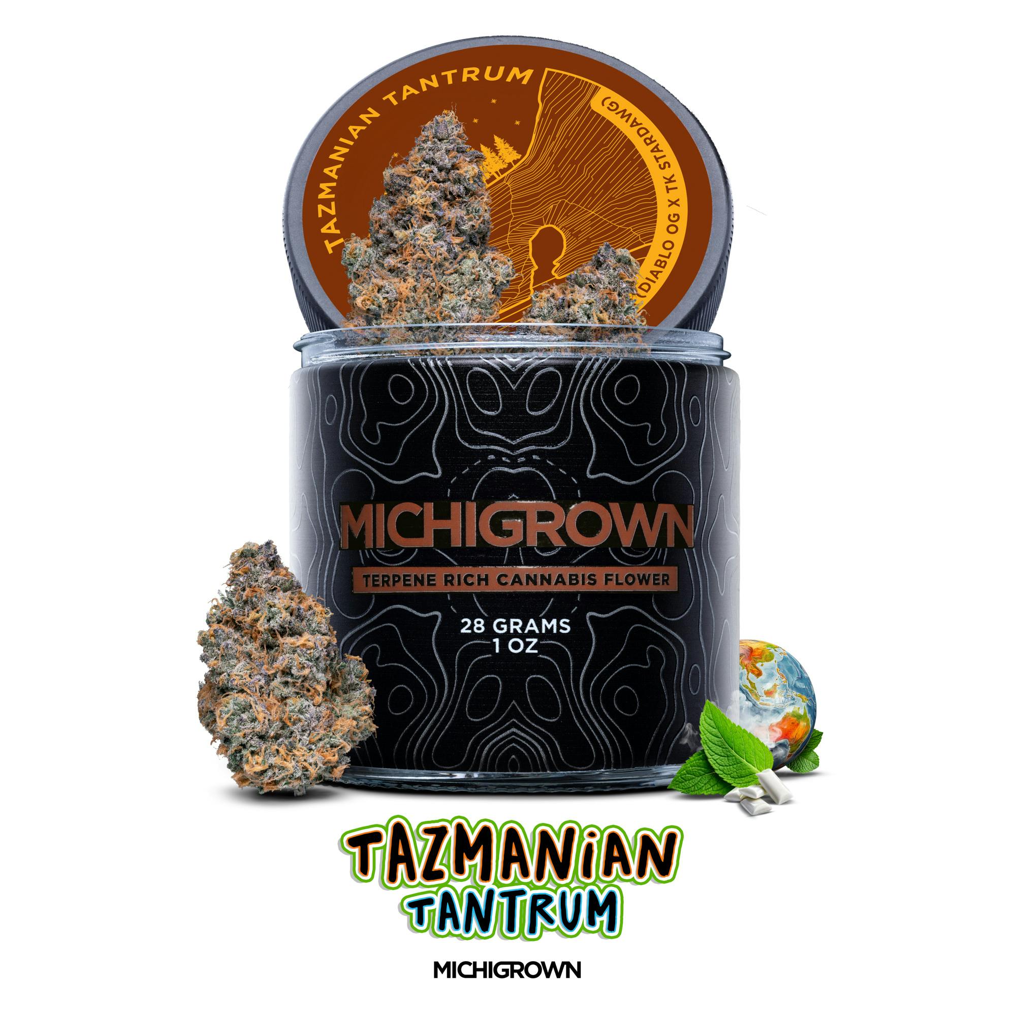 TAZMANIAN TANTRUM - 28 GRAMS - PREMIUM FLOWER - JARS by MICHIGROWN