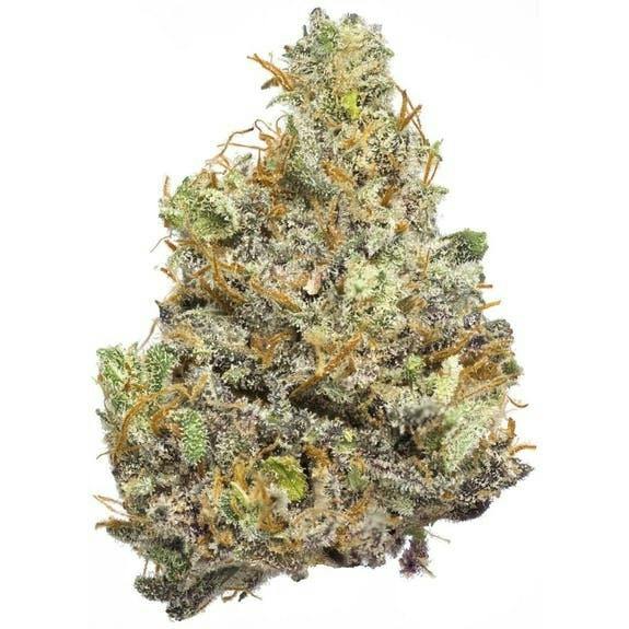 Truforia | Jelly Pie | Flower | 2G