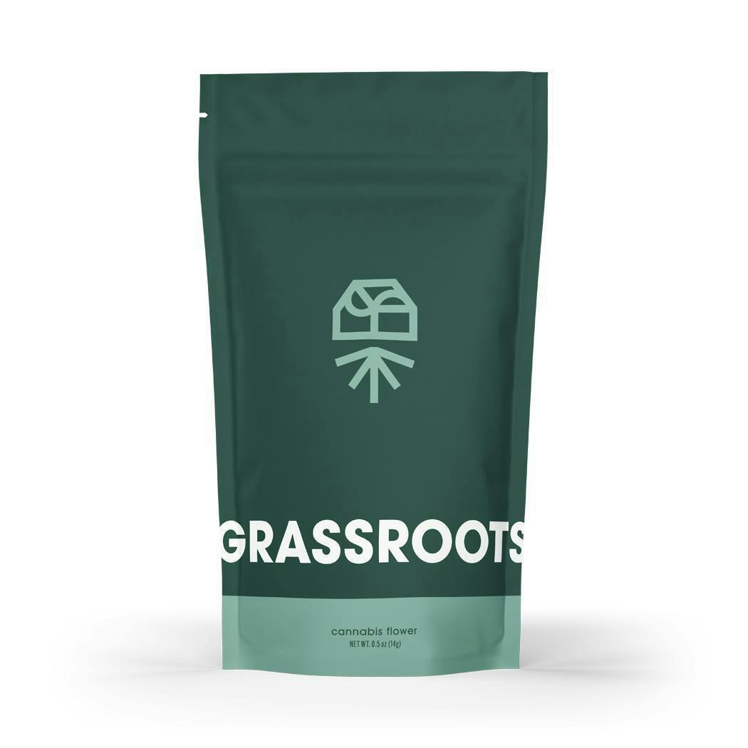 Novarine Popcorn Flower 0.5oz by Grassroots