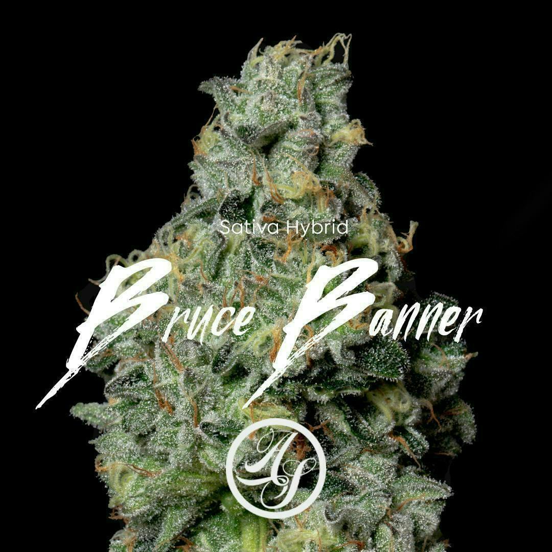 Bruce Banner | Big Buds | 14g at Gardens Dispensary Huntington