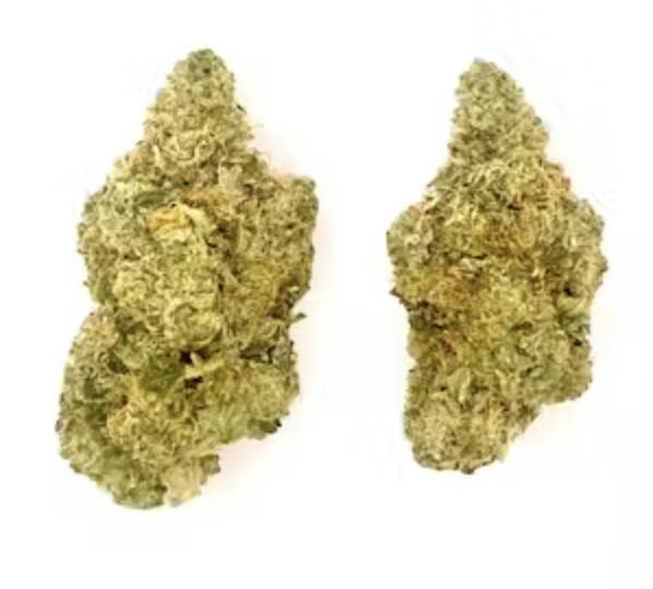 Buds | Peanut Butter Pie at Montana Kush - Helena Dispensary
