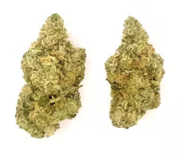 Buds | Duct Tape at Montana Kush - Gallatin Gateway Dispensary