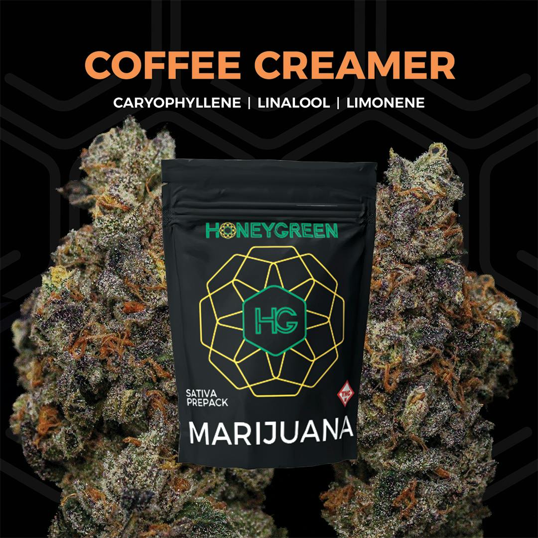 Coffee Creamer