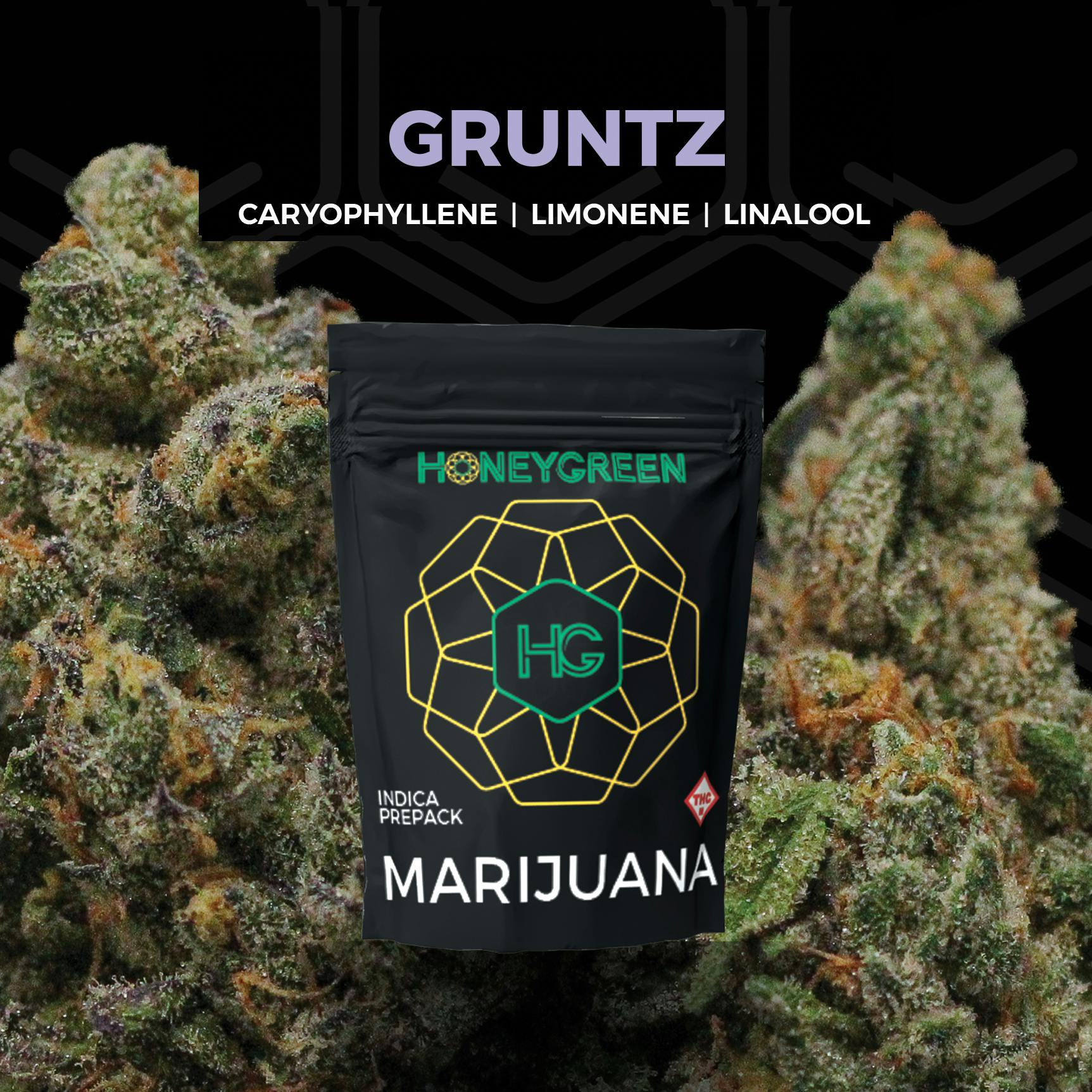 Gruntz