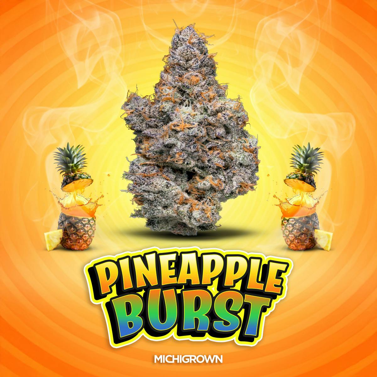 PINEAPPLE BURST - PREMIUM FLOWER - JARS