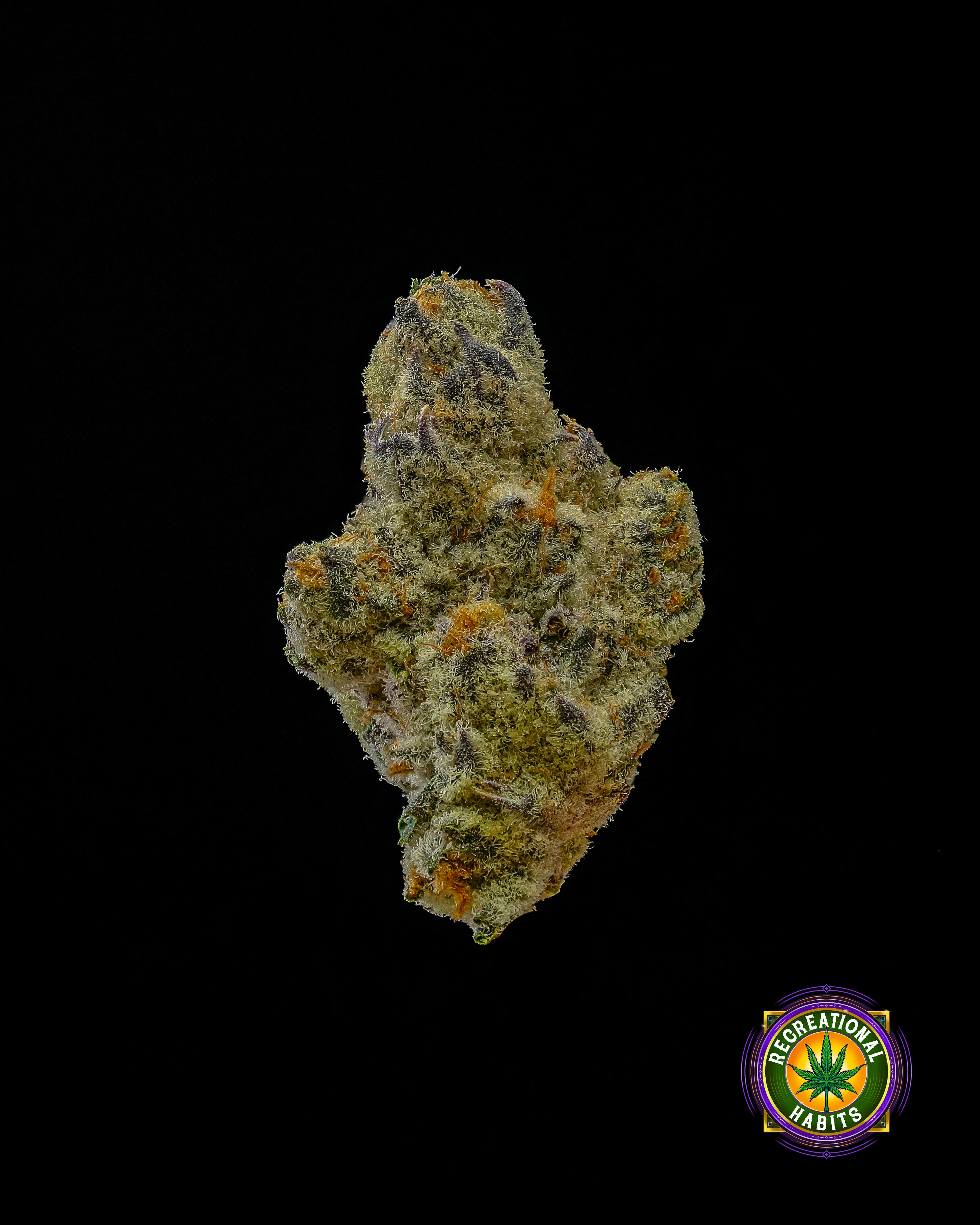 White Devil - Recreational Habits