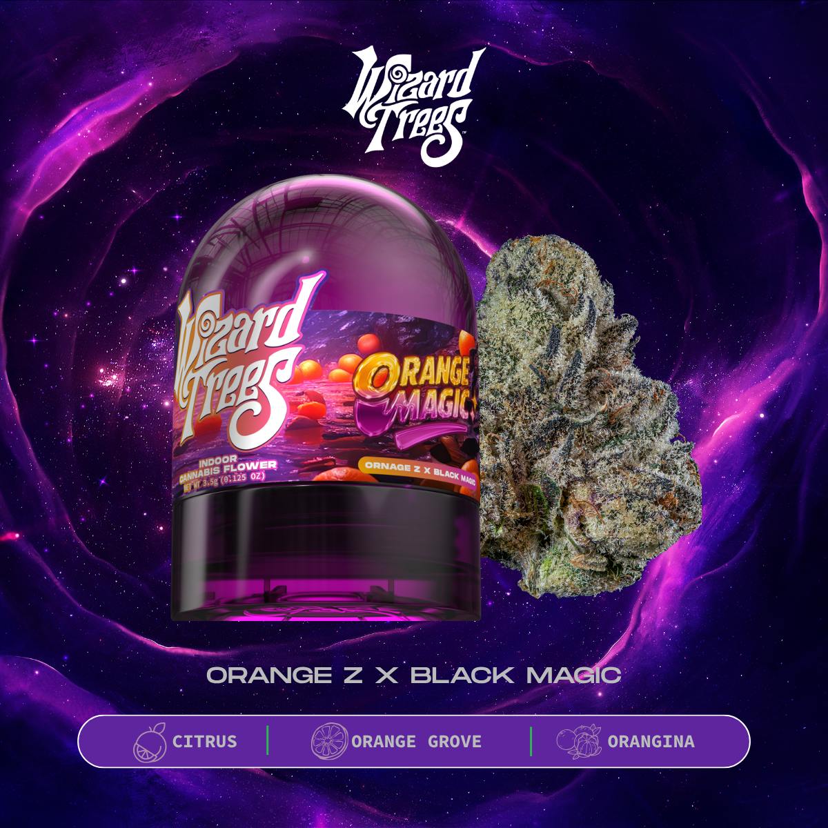 WIZARD TREES: Orange Magic