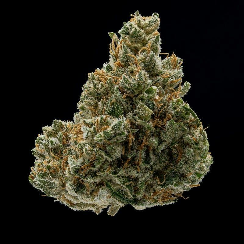 JAR Silver Kush 14g by JAR Cannabis Co.