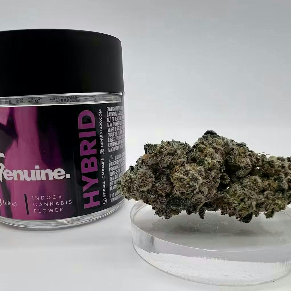 Genuine: Gelato Mintz