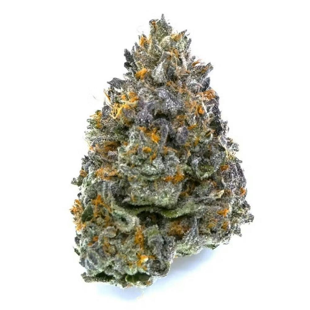 Gee6 Buds by Avitas