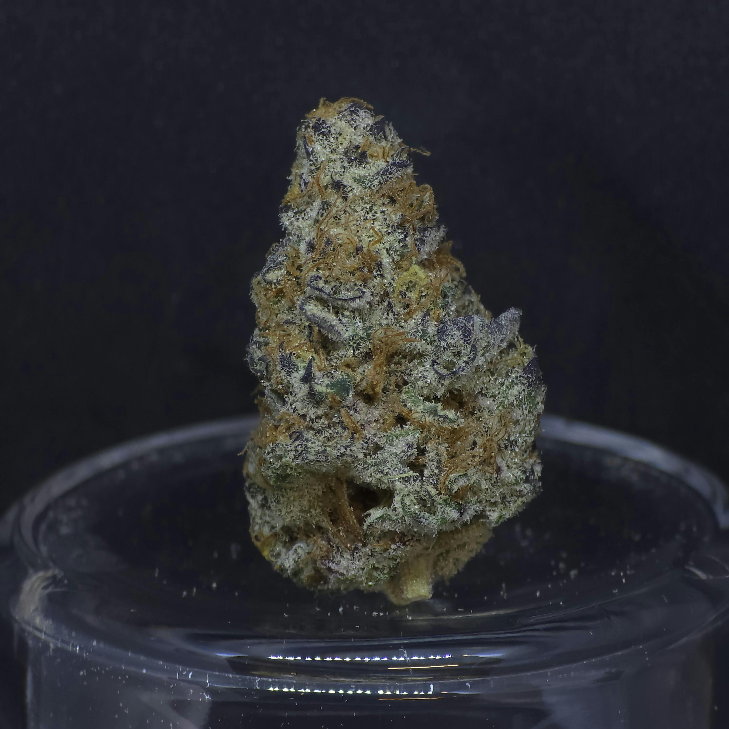 Black Truffle 3.5g Flower by BAM Alaska
