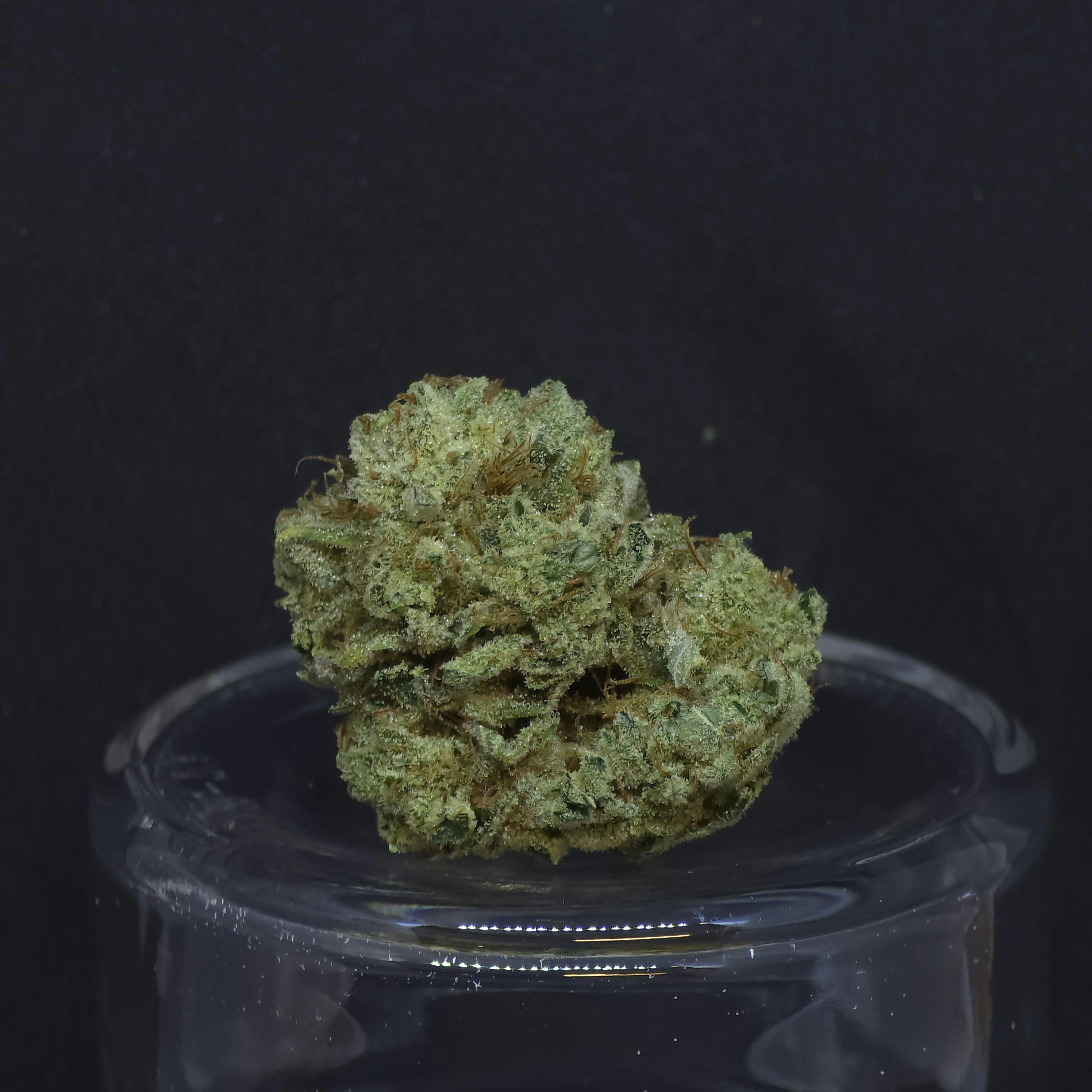 Inzane in the Membrane 1g Flower