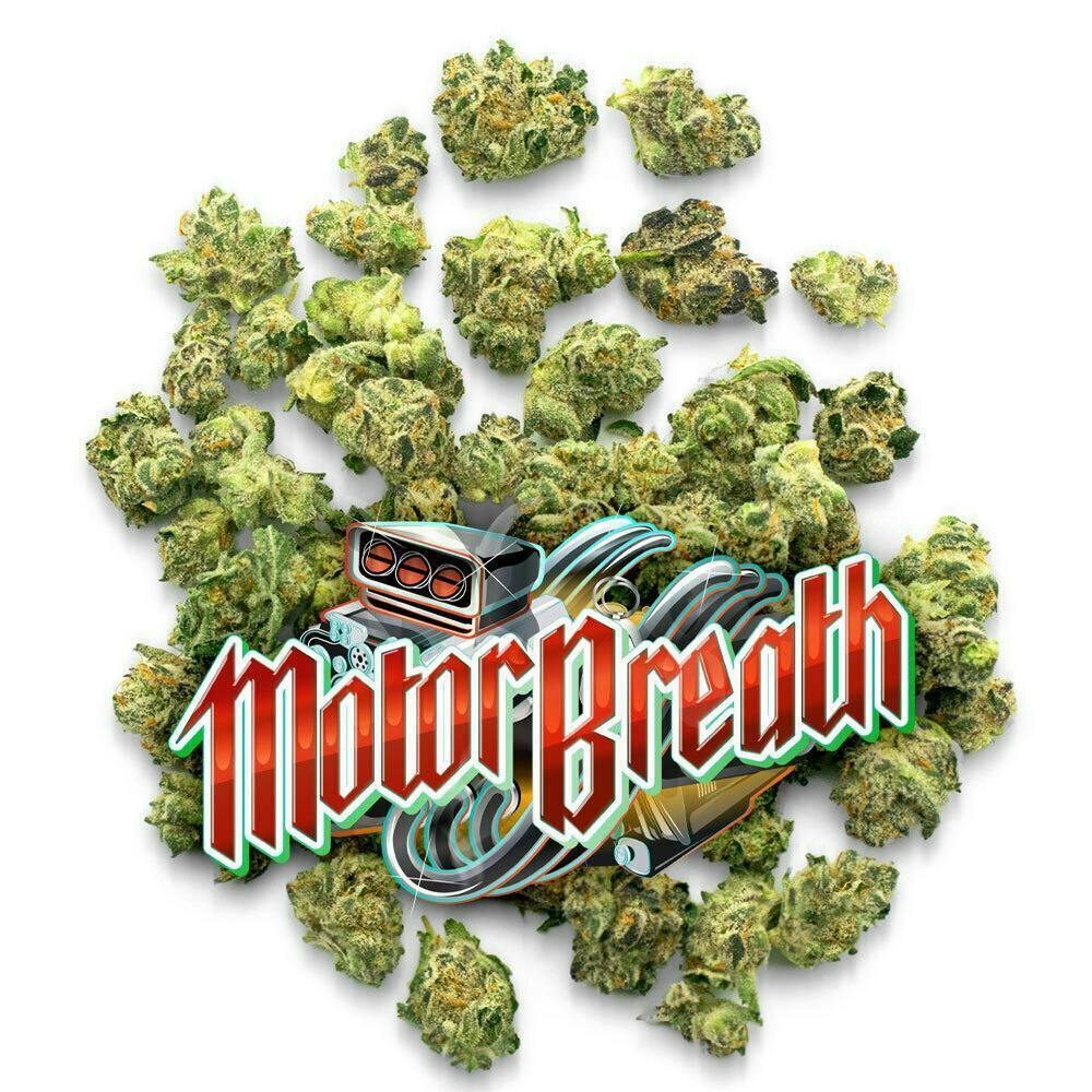 Jungle Boys | Motor Breath - 7g Pops by Jungle Boys
