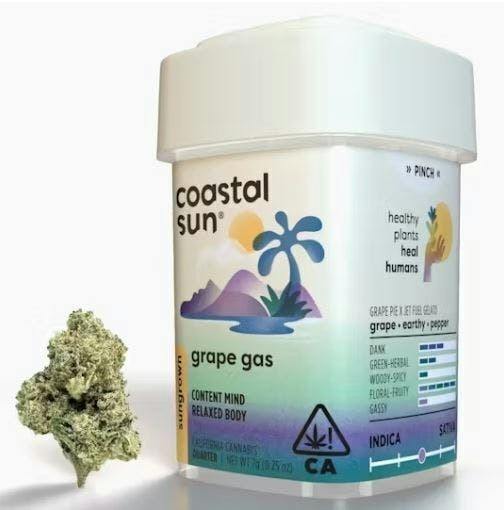 Coastal Sun: Grape Gas