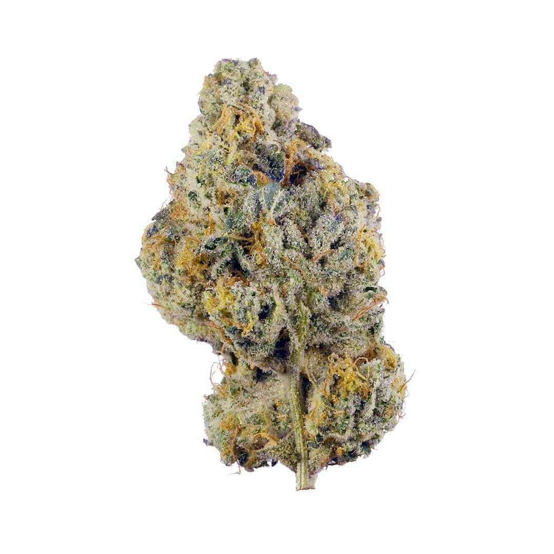 Rare Dankness | Gelato Pop | Flower | 28g by Rare Dankness