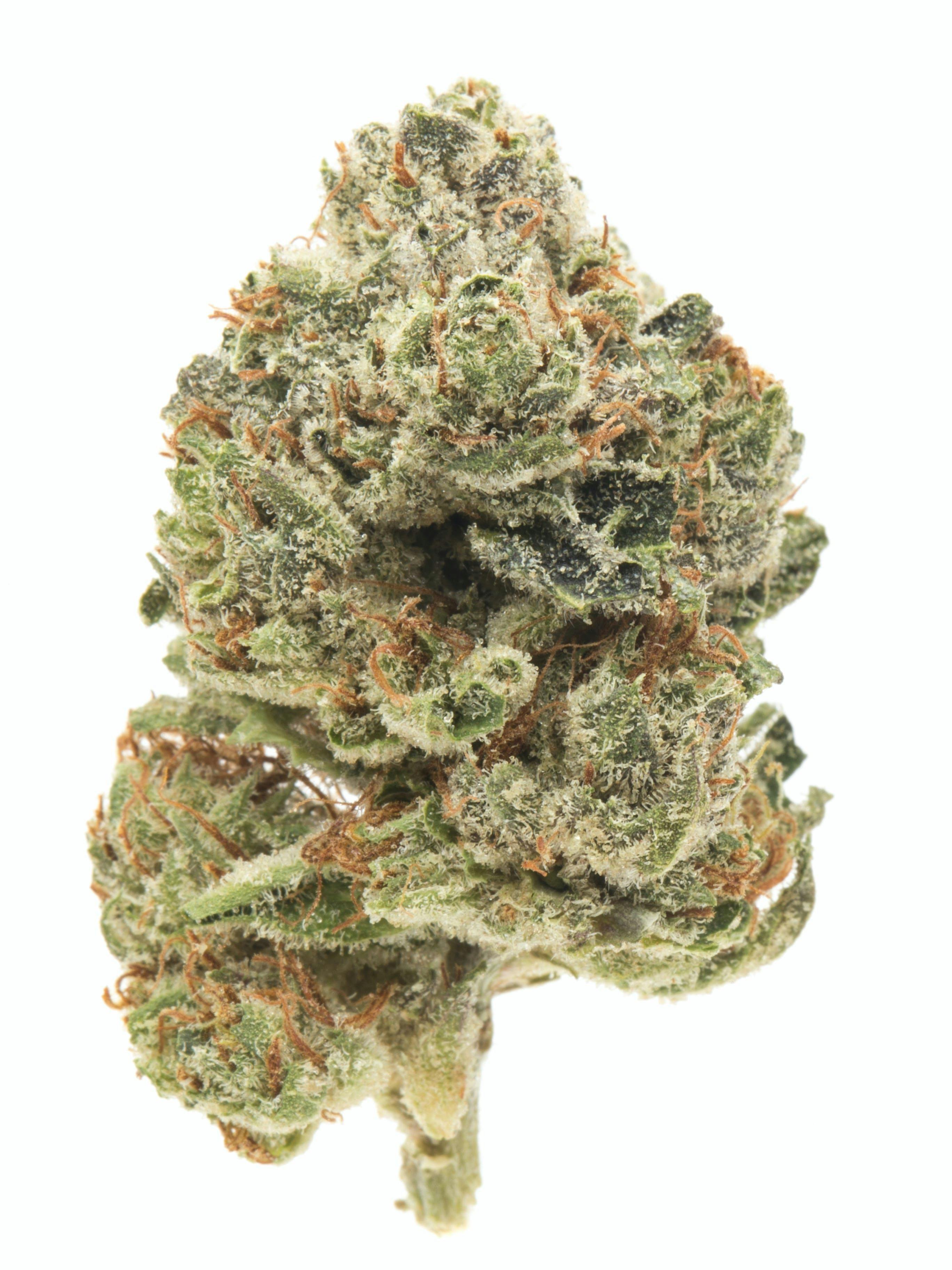 Rare Dankness | Electrolime | Smalls | 7g by Rare Dankness