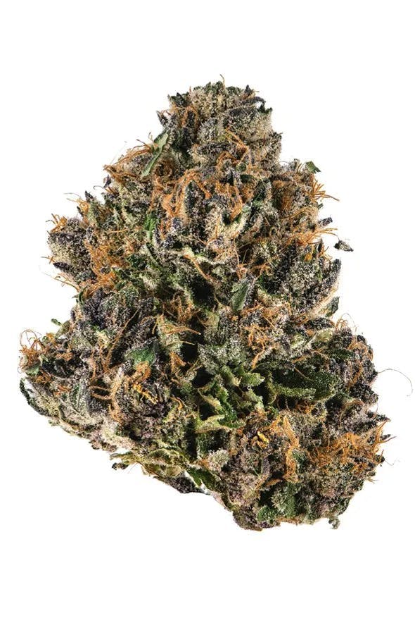 Rare Dankness | Mai Tai | Flower | 3.5g by Rare Dankness