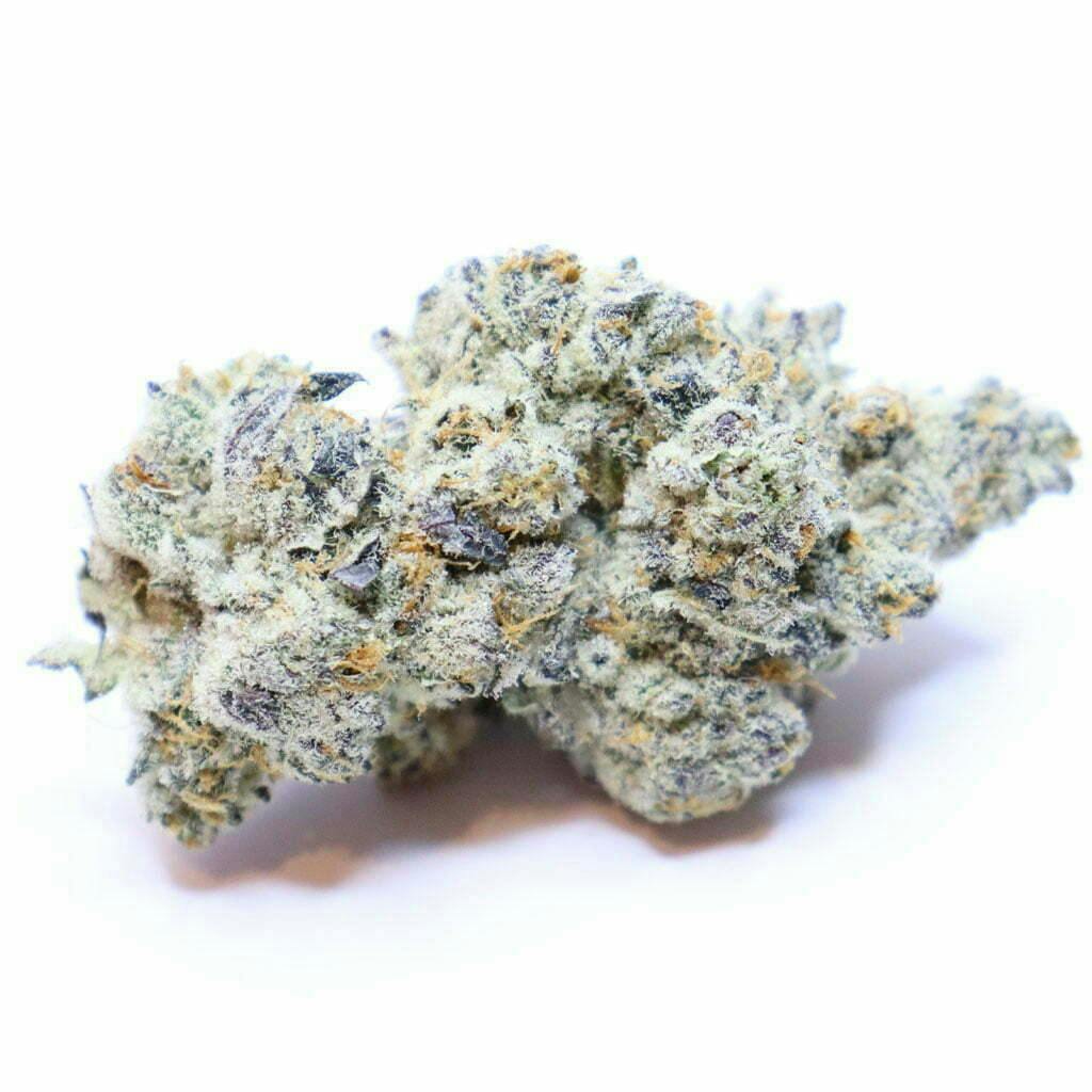 Rare Dankness | Widow Fighter | Flower | 28g