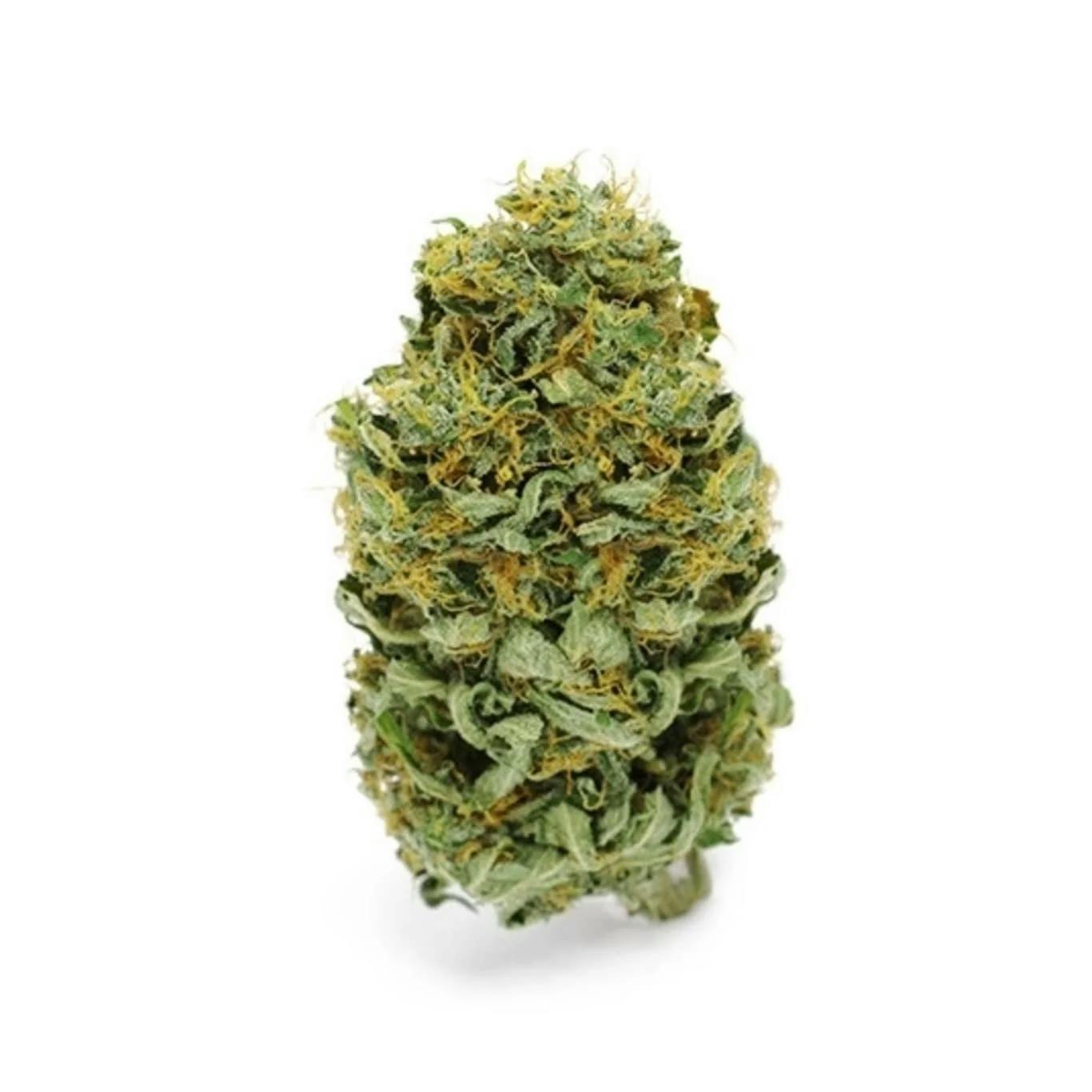Rare Dankness | Banana Kush Cookies | Flower | 28g by Rare Dankness