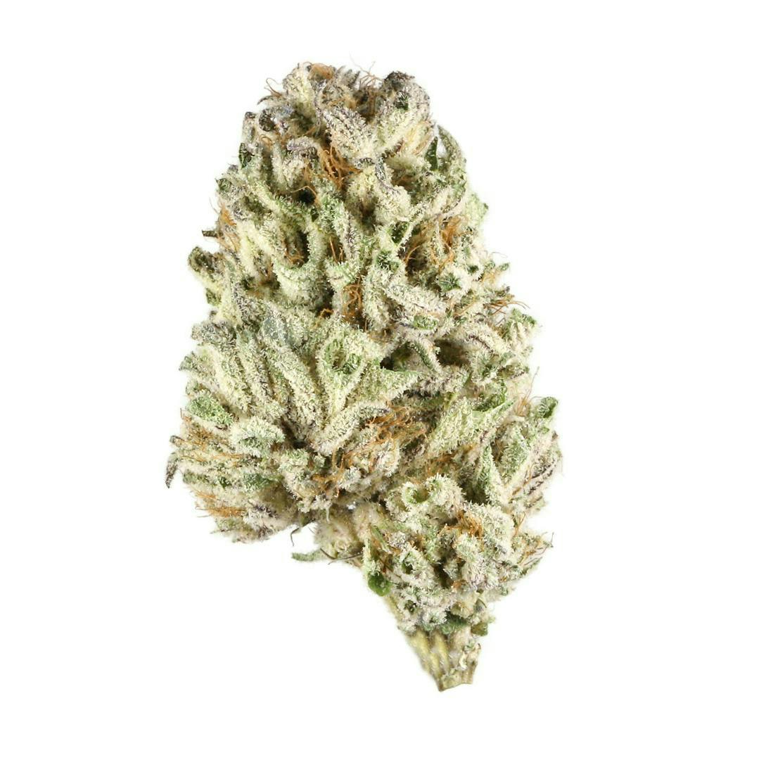 Rare Dankness | Jungle Pie | Flower | 3.5g by Rare Dankness